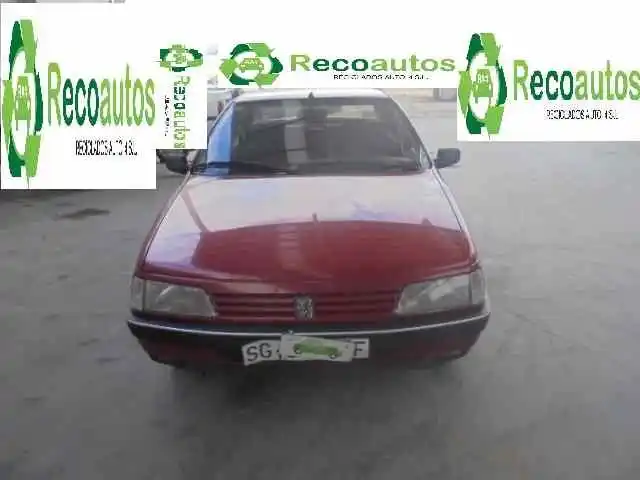 peugeot 405 berlina 1.9 cat 05451