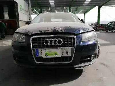 Veículo de Sucata audi a3 (8p) 1.9 tdi ambiente do ano 2008 alimentado bxe