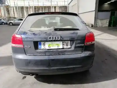 Veículo de Sucata audi a3 (8p) 1.9 tdi ambiente do ano 2008 alimentado bxe