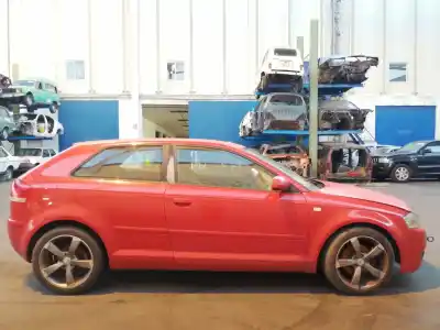 Veicolo di demolizione audi a3 (8p) 1.9 tdi ambiente dell'anno 2007 alimentato bxe