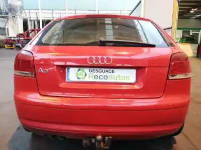 Veicolo di demolizione audi a3 (8p) 1.9 tdi ambiente dell'anno 2007 alimentato bxe