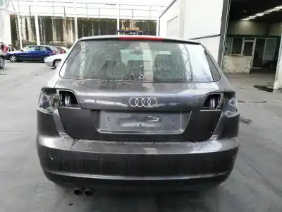 Veículo de Sucata audi a3 (8p) 1.9 tdi ambiente do ano 2009 alimentado bls