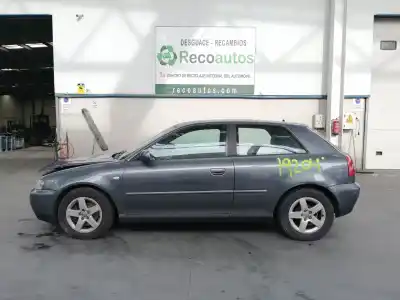 Veículo de Sucata audi a3 (8l) 1.9 tdi do ano 2001 alimentado asz