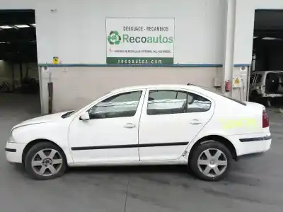 Veicolo di demolizione skoda                                              octavia berlina (1z3)                                                                                                                                                                                                                                      1.9 tdi                                                                                                                                                                                                                                                    dell'anno 2006 alimentato bxe