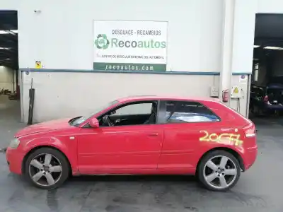 Scrapping Vehicle audi a3 (8p) 2.0 tdi of the year 2003 powered bkd