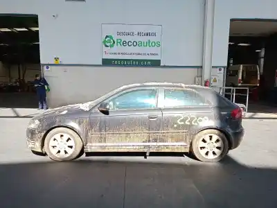Scrapping Vehicle AUDI                                               A3 (8P1)                                                                                                                                                                                                                                                   1.9 TDI                                                                                                                                                                                                                                                    of the year 2008 powered BLS