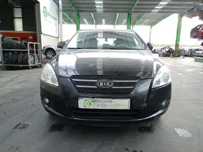 Scrapping Vehicle kia cee'd fastback (ed) 1.6 crdi 115 of the year 2009 powered d4fbu