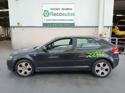 Hurda Aracı AUDI                                               A3 (8P1)                                                                                                                                                                                                                                                   2.0 TDI 16V                                                                                                                                                                                                                                                Yılın 2003 güçlü BKD