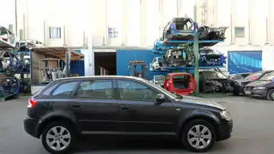 Scrapping Vehicle audi                                               a3 (8p1)                                                                                                                                                                                                                                                   1.9 tdi                                                                                                                                                                                                                                                    of the year 2007 powered bxe