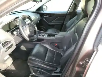 Здавання транспортного засобу jaguar f-pace (x761) 2.0 td4 року 2023 потужний 204dtd