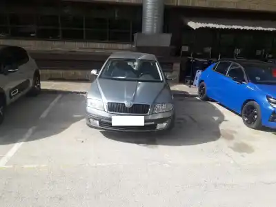 Scrapping Vehicle SKODA OCTAVIA BERLINA (1Z3) 1.9 TDI of the year 2004 powered BJB