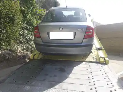 Veículo de Sucata skoda octavia berlina (1z3) 1.9 tdi do ano 2004 alimentado bjb