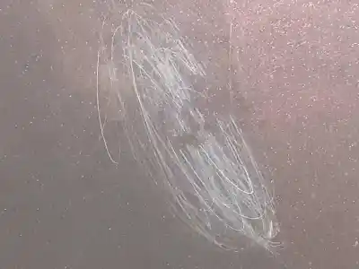 Peça sobressalente para automóvel em segunda mão capot por kia opirus básico referências oem iam 664003f520  