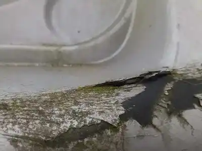 Pezzo di ricambio per auto di seconda mano paraurti posteriore per kia carens (un) concept riferimenti oem iam 866111d010  
