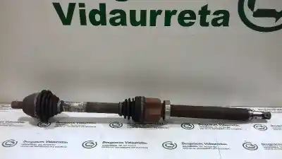 Pezzo di ricambio per auto di seconda mano trasmissione anteriore destra per ford focus berlina (cap) 1.6 tdci cat riferimenti oem iam 3m513b436daf