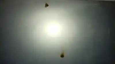 Second-hand car spare part ceiling for peugeot 206 cc cc oem iam references   