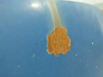 Pezzo di ricambio per auto di seconda mano cofano per volkswagen transporter iv autobús (70b, 70c, 7db, 7dk, 70j, 70k, 7dc, 7 2.5 tdi riferimenti oem iam   