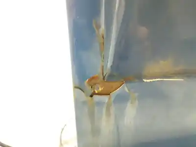 Pezzo di ricambio per auto di seconda mano porta posteriore sinistra per volkswagen transporter iv autobús (70b, 70c, 7db, 7dk, 70j, 70k, 7dc, 7 2.5 tdi riferimenti oem iam   