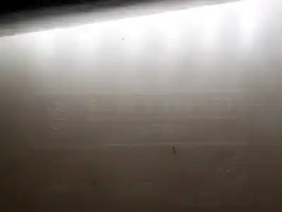 Peça sobressalente para automóvel em segunda mão depósito do limpa vidros por bmw 3 touring (e46) 320 d referências oem iam 61667007970  61667007970