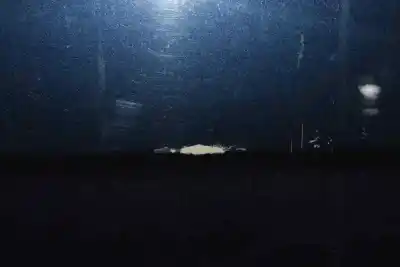 Автозапчастина б/у двері задні ліві для bmw 7 (e65, e66, e67) 730 ld посилання на oem iam 41517202083  41517202083