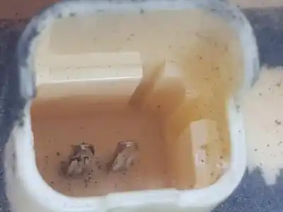 Автозапчастина б/у індикатор для peugeot 207/207+ (wa_, wc_) 1.6 hdi посилання на oem iam 1525qe  1525qe