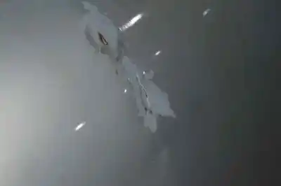 Автозапчастина б/у капок для renault kangoo (f/kc0) 1.5 dci diesel посилання на oem iam 7751474868  7751474868