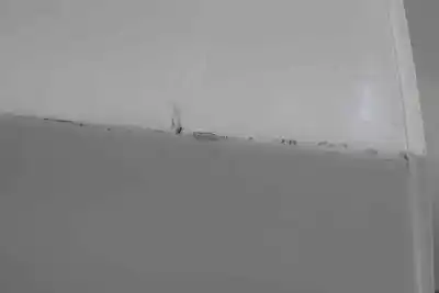 İkinci el araba yedek parçası arka sag kapi için bmw 3 (e90) 320 d oem iam referansları 41007203648  41007203648