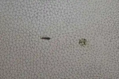 Second-hand car spare part center armrest for bmw 5 (e60) 520 d oem iam references 51169191771  51167034086