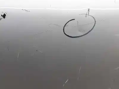 Second-hand car spare part rear left door for audi a3 ant 1.9 tdi -3 pins anchos oem iam references 8l4833051c  