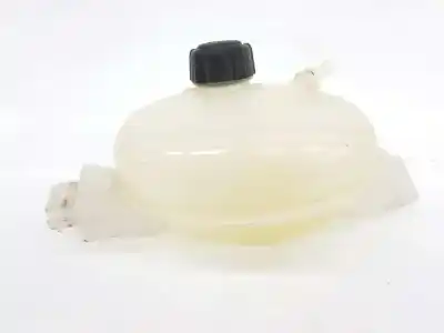 Pezzo di ricambio per auto di seconda mano cauzione di espansione per renault master iii furgoneta (fv) 2.3 dci 145 fwd (fv0e fv0f fv0h fv02 fv0m fv0s.... riferimenti oem iam 217100015r  217100015r