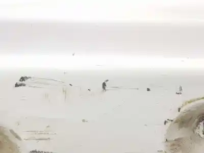 Piesă de schimb auto la mâna a doua plastic lateral bara pentru bmw 3 (e46) 328 i referințe oem iam 51718211944  51718211944