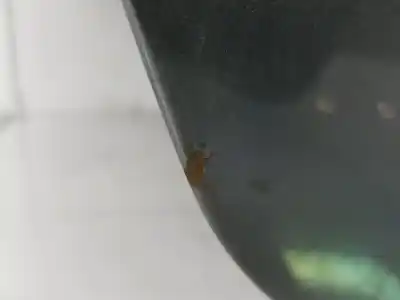 Second-hand car spare part trunk lid for bmw 5 (e60) 525 d oem iam references 41627122441  41627122441