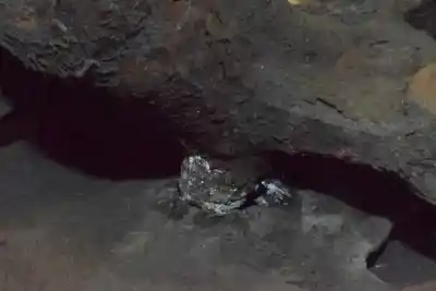 Second-hand car spare part front right knuckle for bmw x3 (e83) 2.0 d oem iam references 31213412020  31213412020