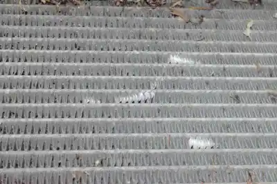 Second-hand car spare part water radiator for bmw 3 (e90) 320 d oem iam references 7788903  17117788903