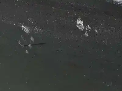 Second-hand car spare part left front door for bmw serie 3 compacto (e46) 2.0 320td oem iam references 41517016239  41517016239