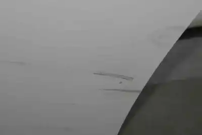 İkinci el araba yedek parçası arka sol kapi için bmw 3 (e90) 320 d oem iam referansları 41007203647  41007203647