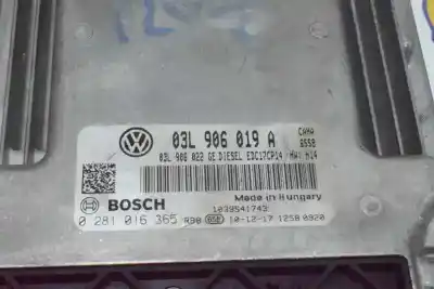 Автозапчасти б/у блок управления двигателем за seat exeo st 2.0 tdi ссылки oem iam 03l906019a  03l906019a