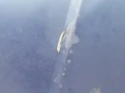 Peça sobressalente para automóvel em segunda mão capot por citroen c2 (jm_) 1.4 hdi referências oem iam 7901k2  7901k2