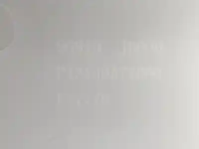 Pezzo di ricambio per auto di seconda mano bracciolo centrale per nissan qashqai / qashqai +2 i (j10, nj10, jj10e) 1.5 dci riferimenti oem iam 96910jd31a  96965jd000