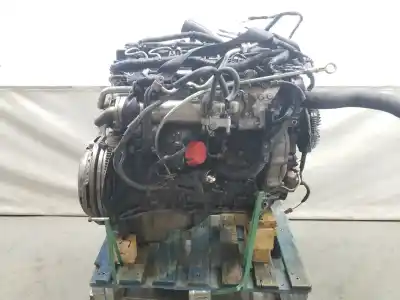 Recambio de automóvil de segunda mano de motor completo para nissan patrol gr (y61) 3.0 16v turbodiesel cat referencias oem iam zd30ddti  