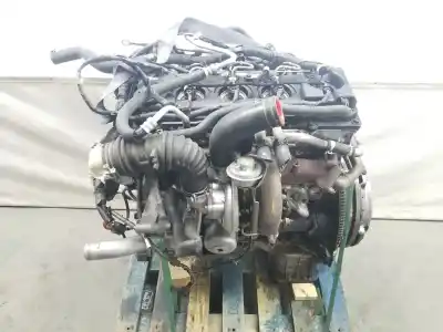 Recambio de automóvil de segunda mano de motor completo para nissan patrol gr (y61) 3.0 16v turbodiesel cat referencias oem iam zd30ddti  