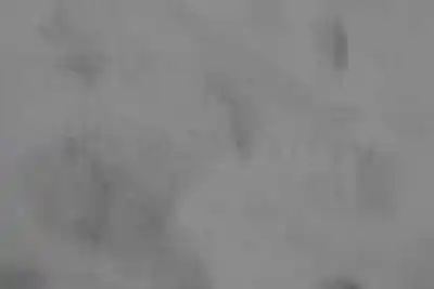 Second-hand car spare part parking sensor control unit for bmw x5 (e53) 3.0 d oem iam references 66216921414  66216921414