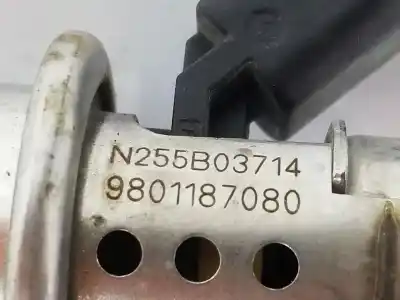 Автозапчастина б/у инжектор для citroen jumpy fugón 2.0 blue-hdi fap посилання на oem iam 9801187080  9801187080