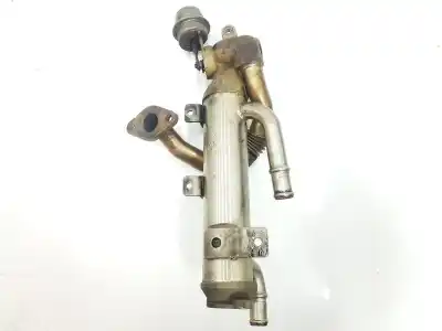 Pezzo di ricambio per auto di seconda mano raffreddatore egr per audi a4 berlina 2.0 tdi riferimenti oem iam 03g131512al 03g131512al 