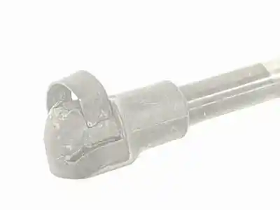 Pezzo di ricambio per auto di seconda mano ammortizzatori baule / porte per fiat nuova 500 1.2 riferimenti oem iam 51785412 51785412 