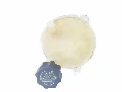 Second-hand car spare part COOLANT EXPANSION TANK for PEUGEOT 308 I (4A_, 4C_)  OEM IAM references 1323AH  1323AH