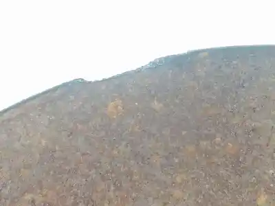 Peça sobressalente para automóvel em segunda mão manga de eixo dianteira esquerda por renault trafic furgón 1.6 dci d energy referências oem iam 400155466r