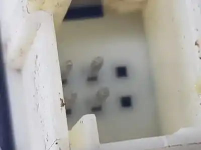 Peça sobressalente para automóvel em segunda mão botão / interruptor elevador vidro traseiro direito por opel corsa f (p2jo) 1.2 (68) referências oem iam 98044803zd