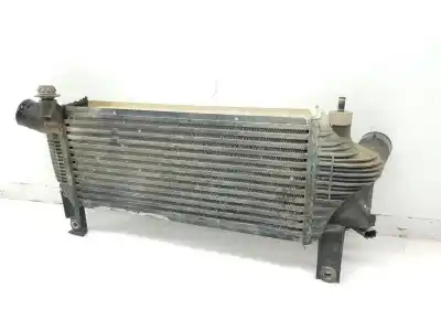 Second-hand car spare part intercooler for nissan navara pick-up (d40m) 2.5 dci diesel cat oem iam references f6864  14461eb360