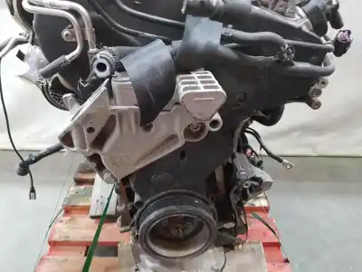 Pezzo di ricambio per auto di seconda mano motore completo per volkswagen troc 2.0 tdi riferimenti oem iam dtrd  05l100032b